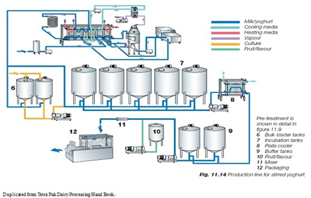 Linea yogurt industriale di produzione lattiera che fa