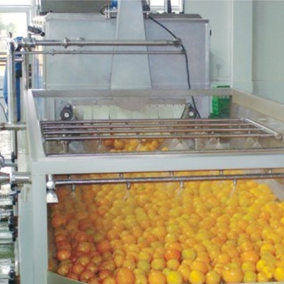 SUS304 Automatic Mango Washing Machine For Fruit Cleaning