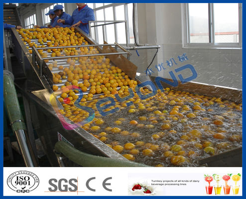 Frutta e verdura dello spostamento di Stepless che elaborano la macchina della rondella del dispositivo, della frutta e della verdura