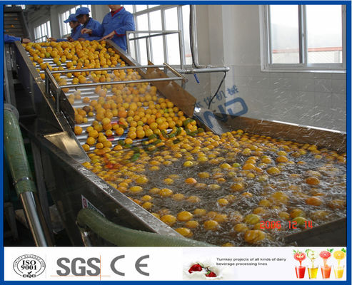 Linea di trasformazione arancio economizzatrice d'energia con l'imbottigliatrice di vetro/ANIMALE DOMESTICO