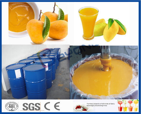 Linea di trasformazione del mango della macchina dell'unità di elaborazione della frutta per l'impianto di lavorazione del succo