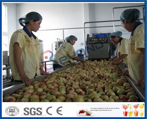 Linea di produzione del succo di frutta della pesca/albicocca/prugna macchinario di lavorazione della frutta