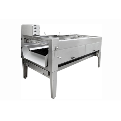 Lavatrice fresca automatica della frutta di acciaio inossidabile del pulitore curcuma/dello zenzero