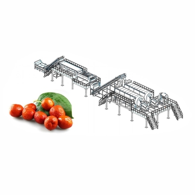 Linea di produzione industriale di succo di melograno 2 - Attrezzatura per la produzione di succo di melograno 50T/H