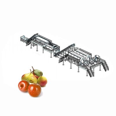 Attrezzatura di classificazione di sollevamento di lavorazione della frutta di Apple per classificare